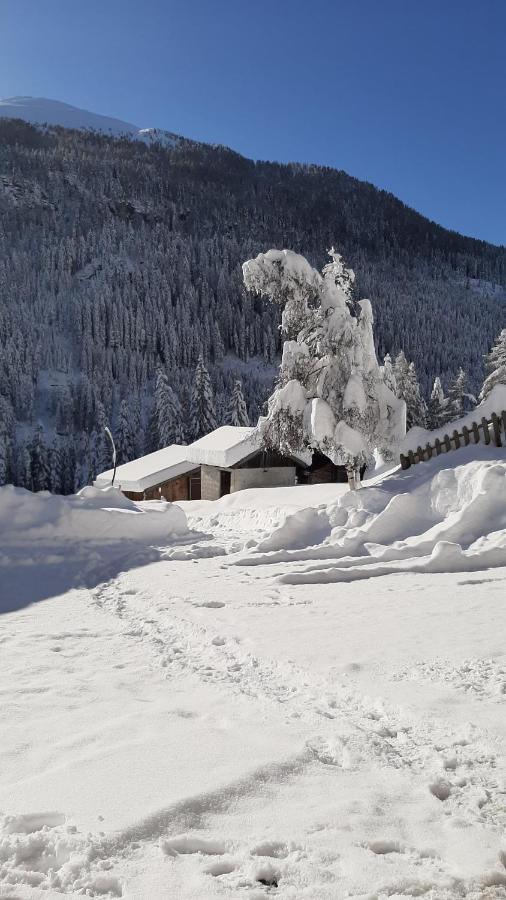 Pension Fuerhapter Mit Bio- Bauernhof Sankt Jakob in Defereggen Kültér fotó
